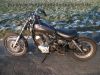 Yamaha_XV_125_S_5AJ_Virago_-_wie_XV_250_535_3LW_3LS_2YL_3BR_3BT_Sachs_Roadster_125_32.jpg