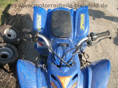 Maxmotor_ATV_Quad_110_ccm_Kardan-Antrieb_3_Gaenge_+_Rueckwaertsgang_-_China-Quad_wie_XIN_YU_LINHAI_LONCIN_32.jpg