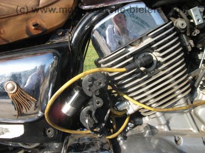 Kawasaki_VN-15_VN_1500_Vulcan_VNT50B_braun_Sissy-Bar_hohe_Scheibe_Zusatz-Scheinwerfer_Trittbretter_Airbrush_Leder_wie_VNT50A_94.jpg