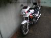 Filename=Honda_CX_650_E_RC12_weiss_70PS_Guellepumpe_-_wie_CX_500_650_C_E_PC01_PC06_RC11_63.jpg
Filesize=189KiB
Dimensions=1440x1080
Date added=Jun 02, 2012 Honda_CX_650_E_RC12_weiss_70PS_Guellepumpe_-_wie_CX_500_650_C_E_PC01_PC06_RC11_63.jpg
