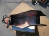 Honda_CB_900_F_F2_Boldor_Bol_D´Or_SC01_SC09_Teile_Mix_-_wie_CB_650_750_1100_F_F2_329.jpg
