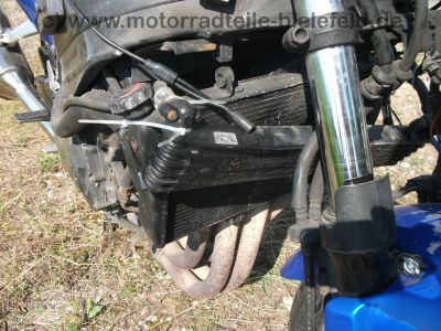Honda_CBR_1100_XX_Super_Blackbird_SC35_PGM-FI_Dual_CBS_-_wie_CBR_900_RR_X-11_X-Eleven_CB_1100_SFy_ED_SC42_165.jpg