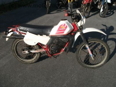 Honda_MTX_80_C_HD06_Enduro_Mokick_weiss-rot_-_wie_Honda_MT8_MB8_MT_MB_MBX_50_80_HD08_HD09_43.jpg