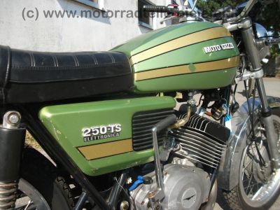 Moto_Guzzi_250_TS_ELETTRONICA_top_orig__6_759km_-_wie_Benelli_125_2C_SS_125_Benelli_250_2C_Moto_Guzzi_CO-UNO_125_Turismo_113.jpg