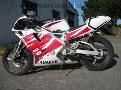 Yamaha_TZR_125_4FL_Sturz_-_wie_TDR_DT_TZR_50_80_125_250_350_R_4BL_5AN_3XE_4DL_4HE_4HX_4HW_1.jpg