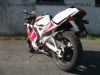 Yamaha_TZR_125_4FL_Sturz_-_wie_TDR_DT_TZR_50_80_125_250_350_R_4BL_5AN_3XE_4DL_4HE_4HX_4HW_2.jpg