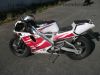 Yamaha_TZR_125_4FL_Sturz_-_wie_TDR_DT_TZR_50_80_125_250_350_R_4BL_5AN_3XE_4DL_4HE_4HX_4HW_5.jpg