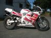 Yamaha_TZR_125_4FL_Sturz_-_wie_TDR_DT_TZR_50_80_125_250_350_R_4BL_5AN_3XE_4DL_4HE_4HX_4HW_50.jpg