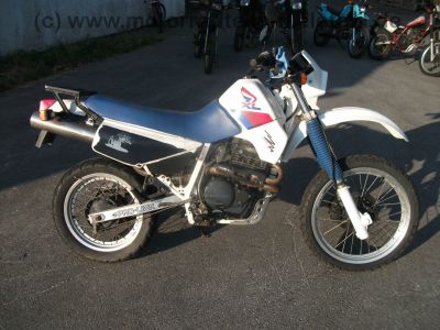 Honda_XL_600_RM_Enduro_PD04_RFVC_BSM_Auspuff_25kW_o__33kW_-_wie_XR_XL_250_R_MD11_ME06_XL_350_R_ND03_XR_XL_600_LM_R_PD03_PE04_48.jpg