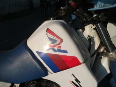 Honda_XL_600_RM_Enduro_PD04_RFVC_BSM_Auspuff_25kW_o__33kW_-_wie_XR_XL_250_R_MD11_ME06_XL_350_R_ND03_XR_XL_600_LM_R_PD03_PE04_52.jpg