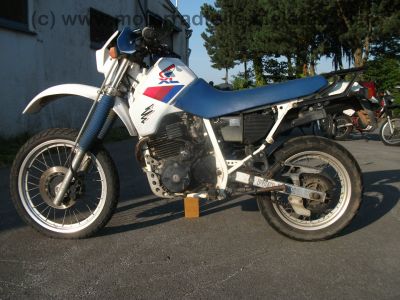 Honda_XL_600_RM_Enduro_PD04_RFVC_BSM_Auspuff_25kW_o__33kW_-_wie_XR_XL_250_R_MD11_ME06_XL_350_R_ND03_XR_XL_600_LM_R_PD03_PE04_9.jpg