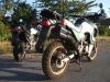 Honda_XL_600_V_Transalp_Enduro_PD06_GIVI-Hecktraeger_37kW_78_789_Km_-_wie_PD10_XRV_650_750_Africa_Twin_RD03_RD04_XR_XL_600_RM_LM_R_PD03_PE04_PD04_18.jpg