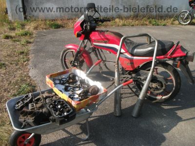 Kawasaki_GPZ_305_BD_Belt-Drive_Twin_rot_Kopfschaden_Riemen_OK_-_wie_KZ_Z_CSR_250_305_55.jpg