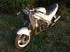 Honda_VFR_750_F_RC24_weiss_Sturz_EZ90_72kW_Stahlflex_-_wie_RC36_VF_500_700_750_F_S_C_RC07_RC09_RC21_PC12_73.jpg