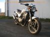 Kawasaki_ER-5_ER_500_A_Twister__silber-grau_Tankbeulen_-_wie_EN_EX_KLE_LE_500_2.jpg