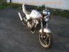 Kawasaki_ER-5_ER_500_A_Twister__silber-grau_Tankbeulen_-_wie_EN_EX_KLE_LE_500_6.jpg