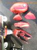 Honda_CB_450_S_PC17_rot-braun_zerlegt_Motor_Vergaser_Elektrik_Bremse_Auspuff_etc__25.jpg