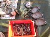 Honda_CB_250_RS_MC02_DELUXE_Ersatzteile_spares_spare_parts_Neuteile_Tank_Motor_Auspuff_Sitz_etc__129.jpg