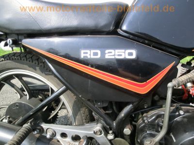 Yamaha_RD_250_LC_4L1_schwarz_-_wie_RD_RZ_TZ_125_250_350_LC_4L0_4L2_4L3_31L_31K_94.jpg