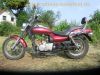 Kawasaki_BN_125_A_Eliminator_rot_-_Chopper_wie_EL_125_250_252_ZL_600_A_B_62.jpg