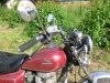 Honda_CM_400_T_NC01_braun_Twin_Chopper_Schuh-Topcase_-__wie_CM_CB_125_250_400_450_C_T_N_47.jpg