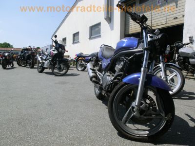 Kawasaki_ER-5_Twister_ER_500_blau_Crash_-_Twin_wie_EN_KLE_EX_GPZ_500_A_B_C_D_E_3.jpg