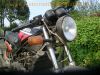 Yamaha_RD_350_YPVS_1WX_schwarz-rot_original_-_wie_RD_125_250_LC_4L1_4L0_31K_1WW_42.jpg