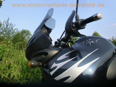 Triumph_Tiger_885i_T709_Enduro_blau_1__Hd__Sturzbuegel_-_wie_Trident_Daytona_Speed_Triple_900_955i_T300_T400_63.jpg