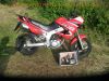 Yamaha_TDR_125_Fun-Duro_5AN_rot_-_wie_TZR_125_4FL_3XE_3SH_3.jpg