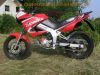 Yamaha_TDR_125_Fun-Duro_5AN_rot_-_wie_TZR_125_4FL_3XE_3SH_47.jpg