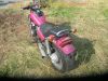 Kawasaki_ZL_600_A_Eliminator_brombeer_Chopper_Cruiser_-_wie_EL_250_252_ZL_900_1000_60.jpg