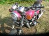 Kawasaki_ZL_600_A_Eliminator_brombeer_Chopper_Cruiser_-_wie_EL_250_252_ZL_900_1000_63.jpg