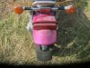 Kawasaki_ZL_600_A_Eliminator_brombeer_Chopper_Cruiser_-_wie_EL_250_252_ZL_900_1000_74.jpg