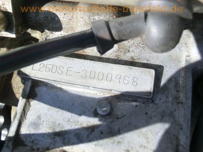 Honda_CL_250_S_MD04_Scrambler_Ersatz-Teile_spares_spare_parts_Motor_Elektrik_Auspuff_etc___-_wie_XL_CB_250_R_S_RS_MC02_MD03_9.jpg