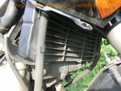 Honda_VFR_750_F_RC36_grau_-_Motor_wie_VF_750_C_RC43_vgl__RC24_VFR_800_RC46_33.jpg