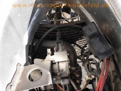 Yamaha_TZR_125_RR_Belgarda_4DL_Sturz_30PS_Motor_neu_-_wie_TZR_125_R_4FL_TDR_DT_125_R_140.jpg