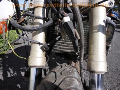 Yamaha_TZR_125_RR_Belgarda_4DL_Sturz_30PS_Motor_neu_-_wie_TZR_125_R_4FL_TDR_DT_125_R_75.jpg