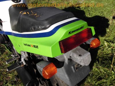 Kawasaki_GPZ_600_R_ZX600A_orig__weiss-gruen-blau_MRA_-_wie_ZX_GPX_600_750_R_B_C_41.jpg