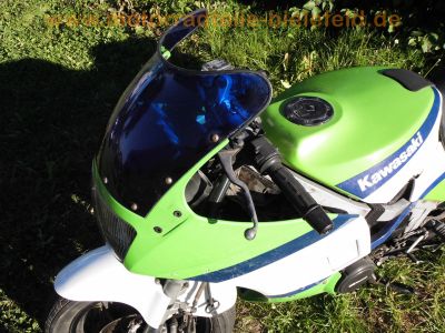 Kawasaki_GPZ_600_R_ZX600A_orig__weiss-gruen-blau_MRA_-_wie_ZX_GPX_600_750_R_B_C_44.jpg