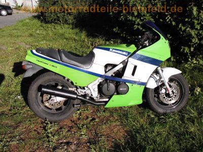 Kawasaki_GPZ_600_R_ZX600A_orig__weiss-gruen-blau_MRA_-_wie_ZX_GPX_600_750_R_B_C_8.jpg