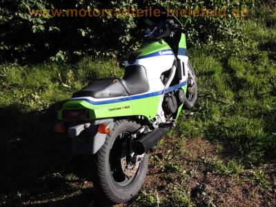 Kawasaki_GPZ_600_R_ZX600A_orig__weiss-gruen-blau_MRA_-_wie_ZX_GPX_600_750_R_B_C_9.jpg