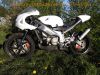 Aprilia_RS_125_mit_Rotax_122_123_offen_21kW_-_wie_AF1_Aprilia_Tuareg_Rally_125_18.jpg