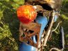 Honda_ST_50_G_DAX_Wrack_-_wie_ST_70_G_DAX_CY_50_80_Z50_Monkey_52.jpg