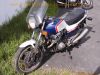 Honda_CBX_550_F_PC04_blau-weiss_Gepaecktraeger_JAMA-Auspuff_4-2_48.jpg