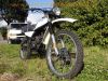 Yamaha_DT_125_MX_2A8_STURZ_Enduro_Trial_-_wie_DT_TY_50_80_125_175_250_2X1_AJ3_3SS_3YV_3.jpg