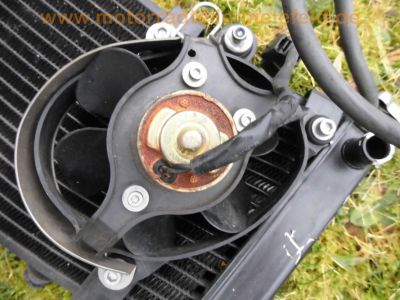 BMW_F_650_ST_Strada_Typ_169_Rotax_grau_Ersatzteile_spare-parts_43.jpg