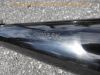 Filename=Honda_VF_750_F_RC15_original_Auspuff-Anlage_exhaust-system_HMBB2_SW_SANKEI_2134_Kruemmer_Sammler_Schalldaempfer_14.jpg
Filesize=389KiB
Dimensions=1440x1080
Date added=Jul 25, 2014 Honda_VF_750_F_RC15_original_Auspuff-Anlage_exhaust-system_HMBB2_SW_SANKEI_2134_Kruemmer_Sammler_Schalldaempfer_14.jpg
