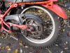 Honda_XL_250_K_rot_Twin-Shock_Enduro-Klassiker_Sturz_-_wie_CL_SL_XL_125_250_K_Scrambler_42.jpg