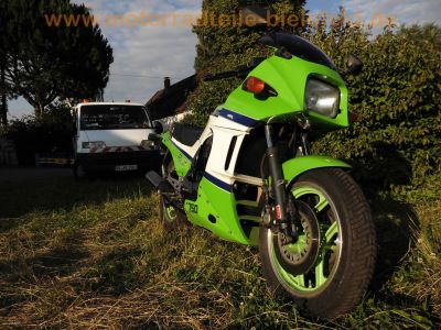 Kawasaki_GPZ_750_R_ZX750G_Extras_-_wie_ZX_GPZ_GPX_600_750_900_R_30.jpg