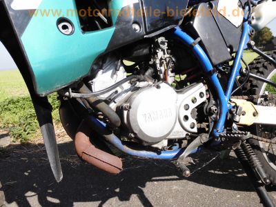 Yamaha_DT_125_R_4BL_blau_Gianelli-Auspuff_-_wie_DE03_TZR_TDR_KTM_125_LC_52.jpg